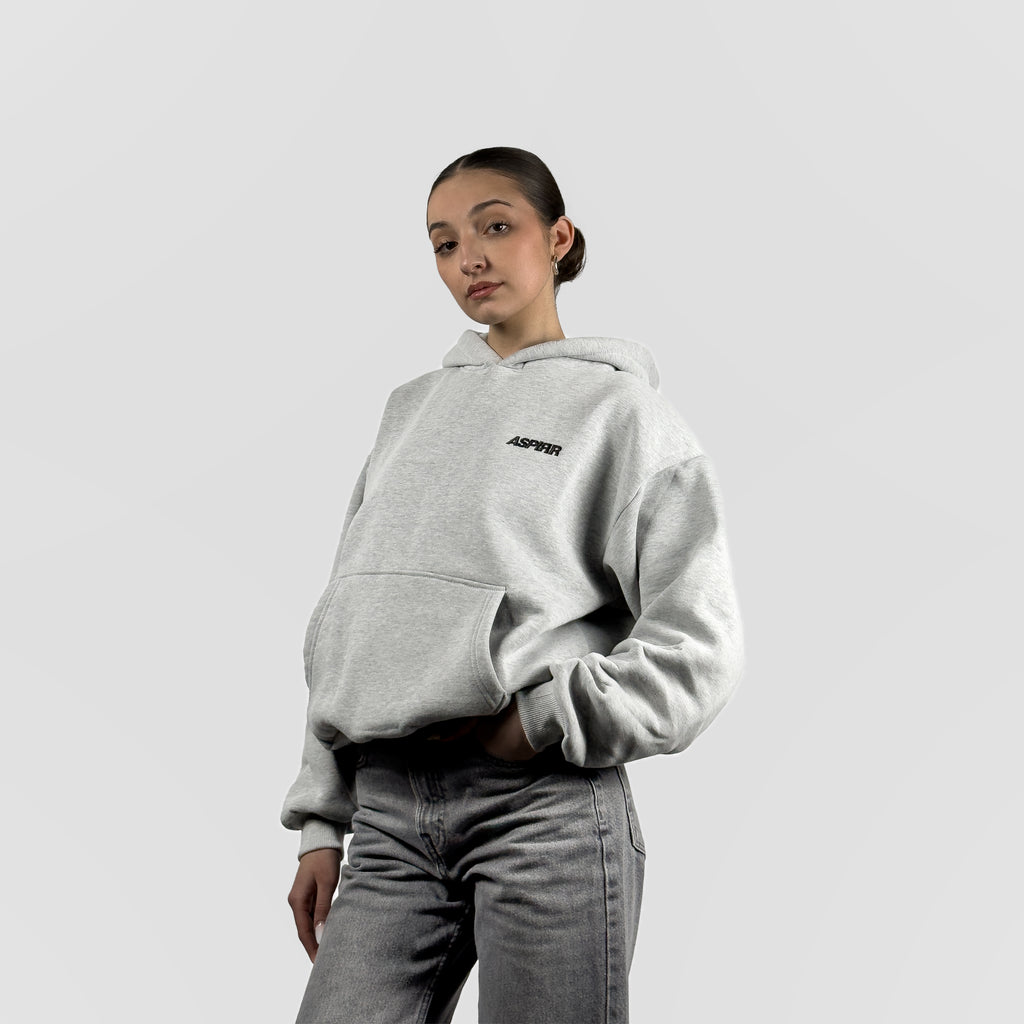 GREY ASPIRR BASIC HOODIE